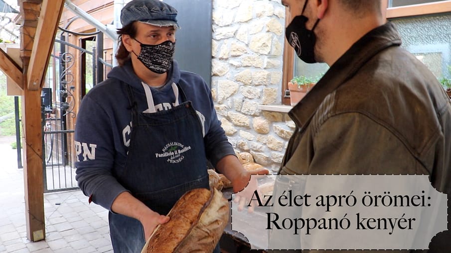 Szabi_boritokep1 Szabi A Pék